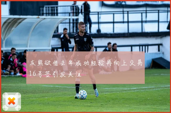 灰熊欲借去年成功经验再向上交易16号签引发关注